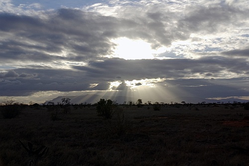 Kenia (306)
